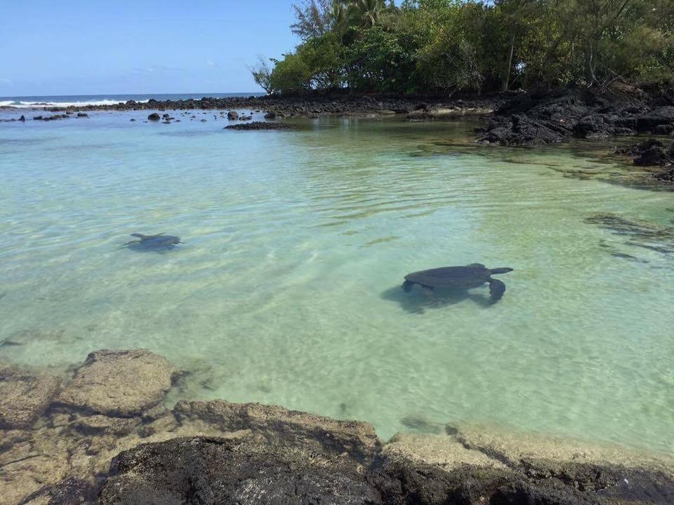 Clear tropical water connected to Sean Ali's Hawaii manifestation lesson
